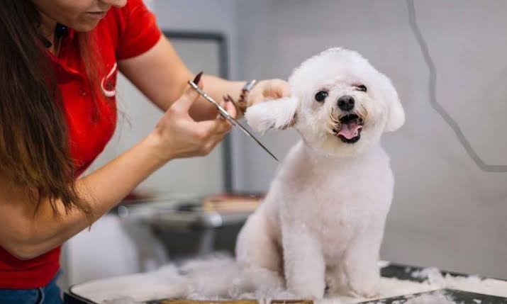 Peluquería y Estética